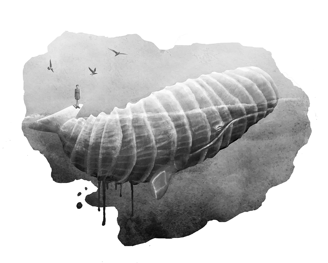 Photo montage Claude Peyrouse