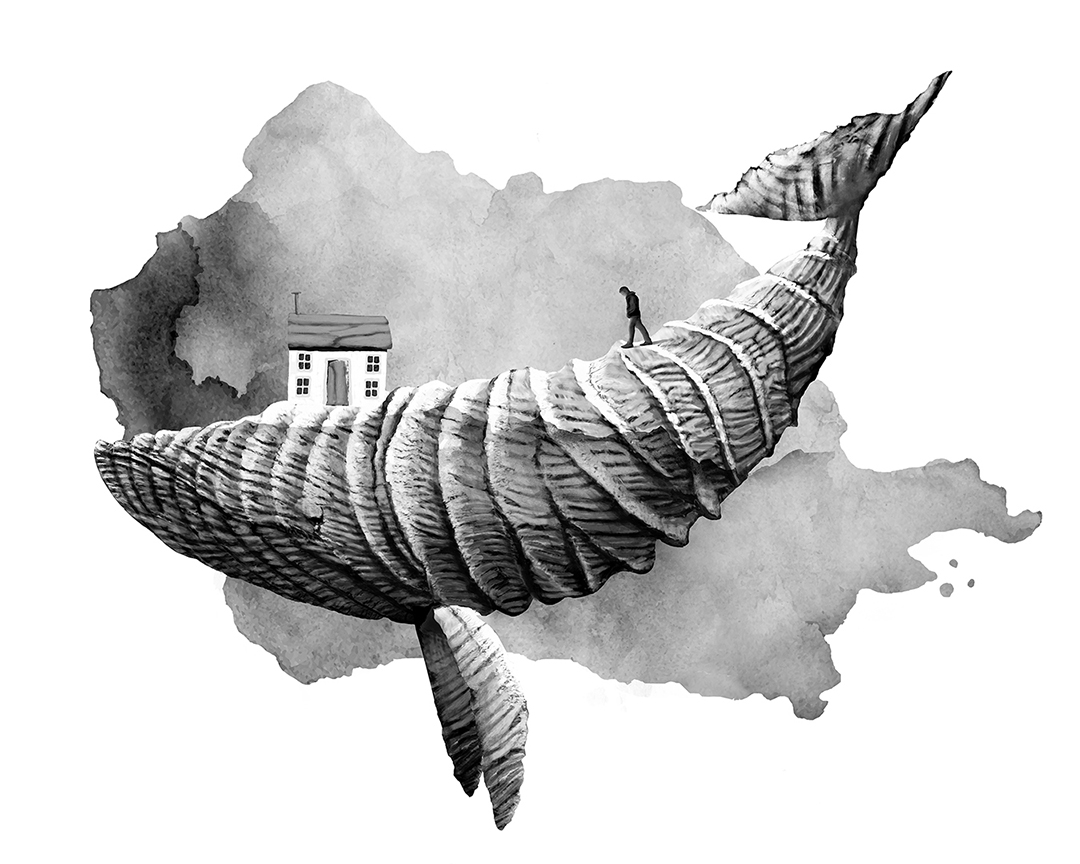 Photo montage Claude Peyrouse