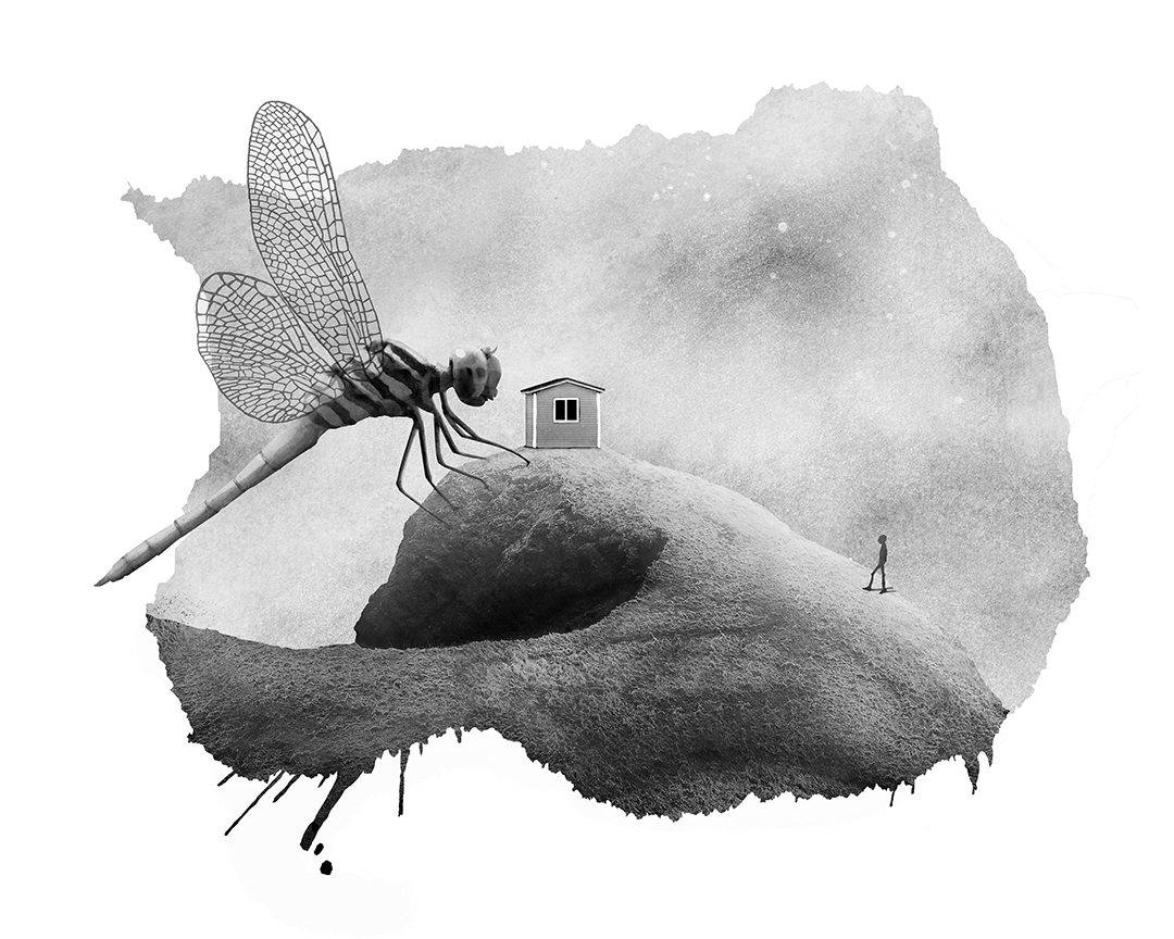 Photo montage Claude Peyrouse