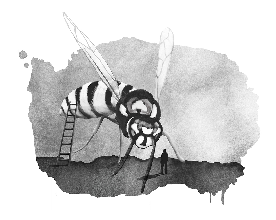 Photo montage Claude Peyrouse