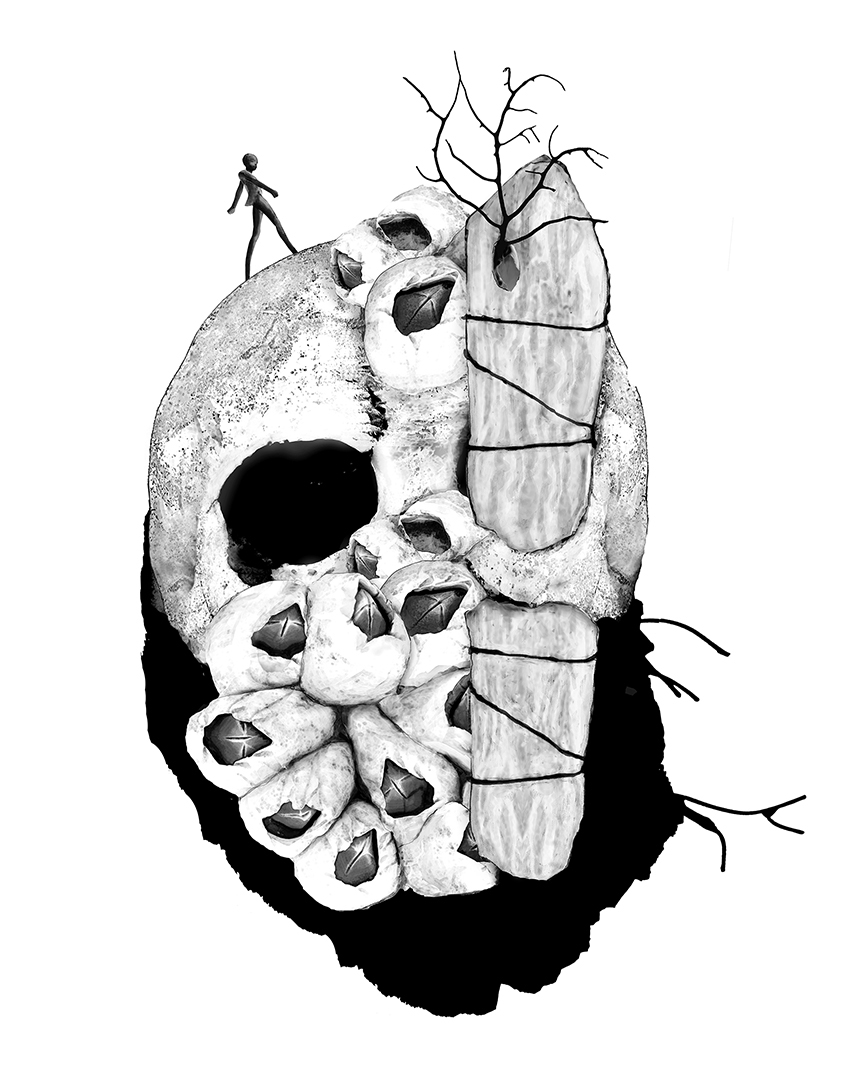 Photo montage Claude Peyrouse