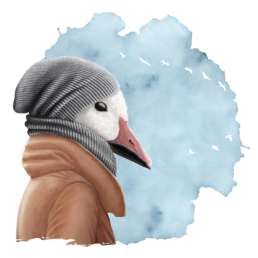 art numérique par Claude Peyrouse