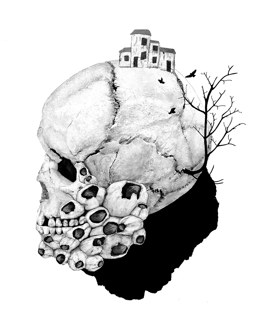 Photo montage Claude Peyrouse