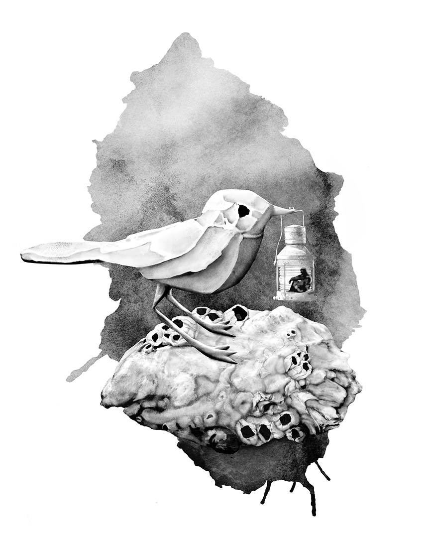 Photo montage Claude Peyrouse