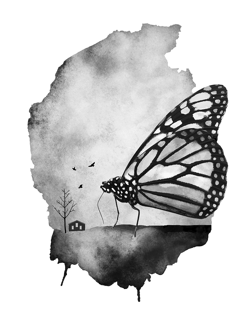 Photo montage Claude Peyrouse