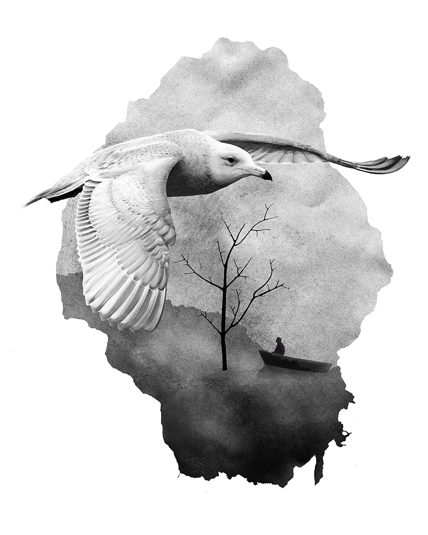 Photo montage Claude Peyrouse