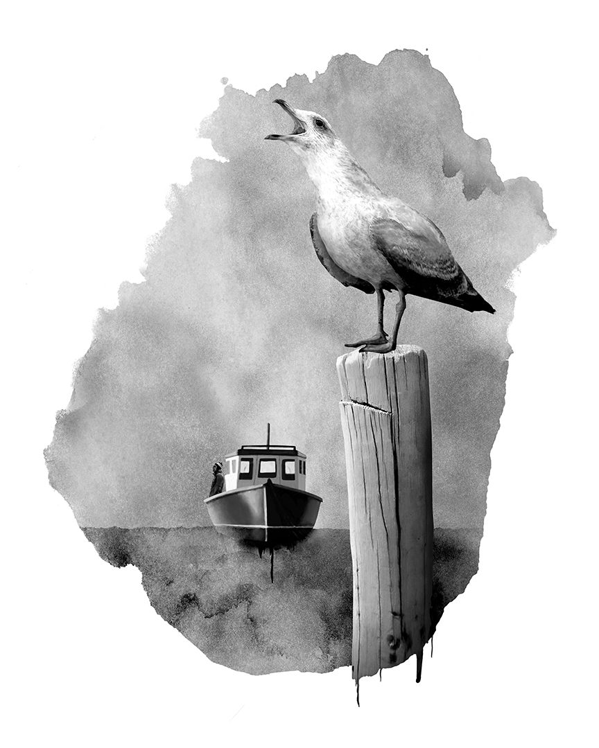 Photo montage Claude Peyrouse