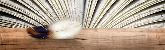 Banniere web Littérature