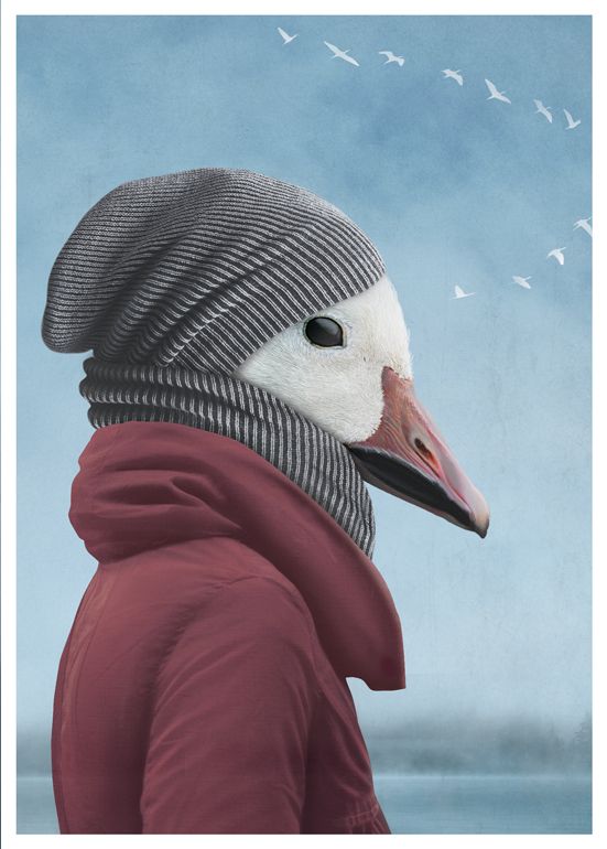 carte par Claude Peyrouse