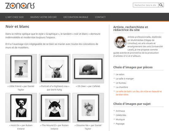 Site de Zonarts